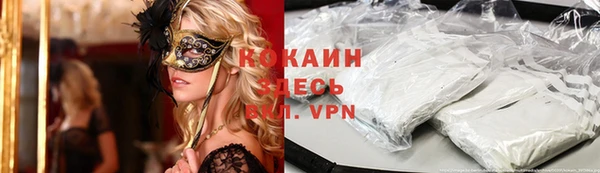 стафф Кодинск