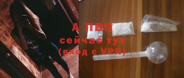 прущие крисы Козловка