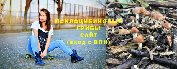 прущие крисы Козловка