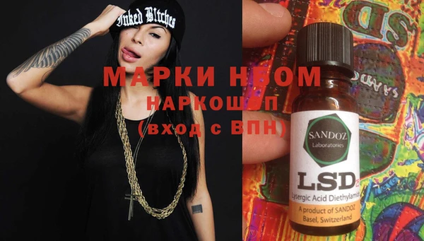 стафф Кодинск