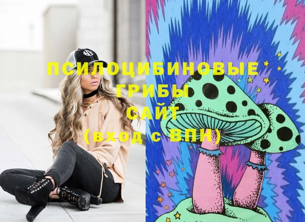 прущие крисы Козловка
