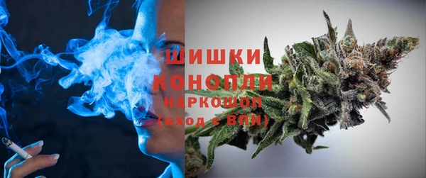 стафф Кодинск