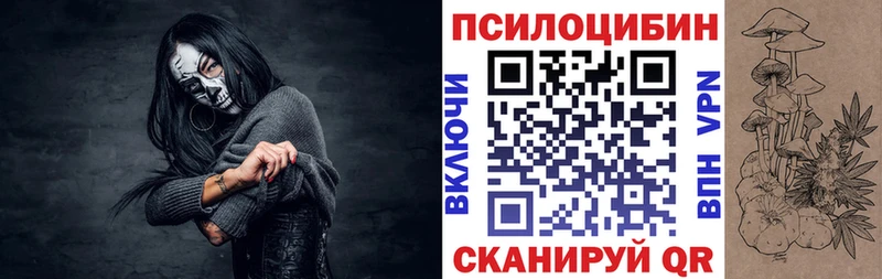 Купить  Белый  Псилоцибиновые грибы Psilocybine cubensis 